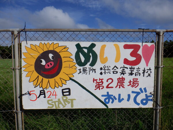 DSCF7175.JPG