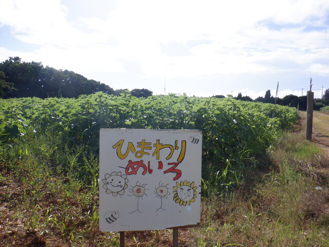 DSCF7167.JPG